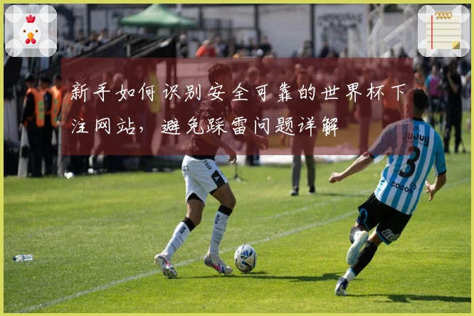 新手如何识别安全可靠的世界杯下注网站，避免踩雷问题详解