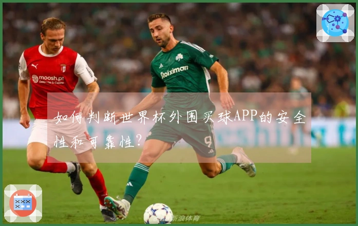 如何判断世界杯外围买球APP的安全性和可靠性？