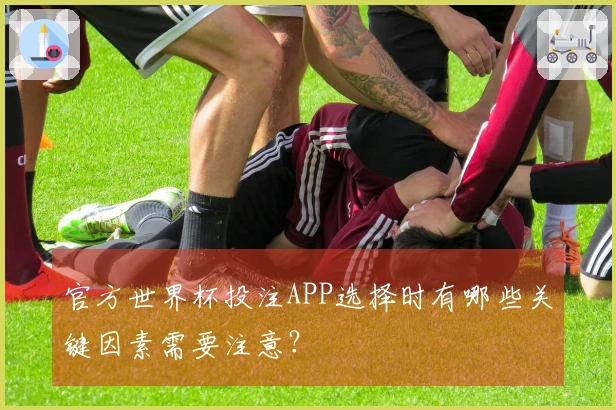 官方世界杯投注APP选择时有哪些关键因素需要注意？